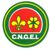 CNGEI